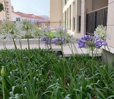 Saint-Victor Apartment | Appartement Moderne à Marseille avec Balcon et Vue sur Jardin