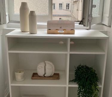 Terreaux - Bat d'argent Apartment | Appartement Plein Centre