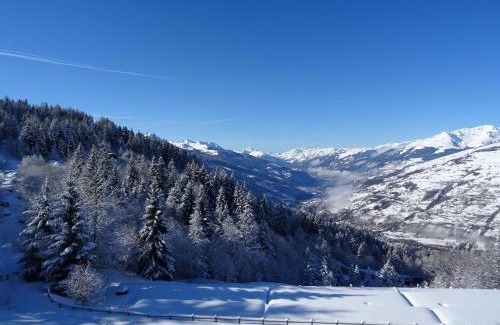 Arc-1600 Apartment | Appartement pour 6 personnes à Arc 1600 proche pistes et commerces - FR-1-411-183