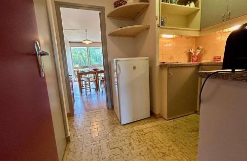 Saint-Etienne-en-Devoluy Apartment | Appartement pour 8 pers. à 50m des pistes avec Wifi et Parking - FR-1-525-288