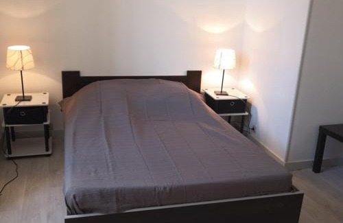 La Roche-Posay Apartment | Appartement rénové face aux Thermes, wifi, animaux OK, cour privée, pour 3/4 pers. à La Roche-Posay - FR-1-541-36