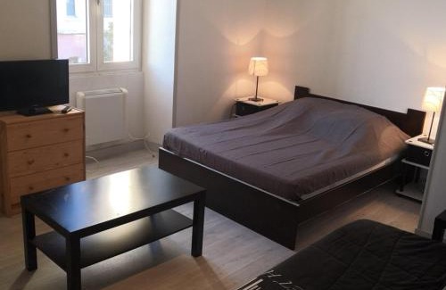 La Roche-Posay Apartment | Appartement rénové face aux Thermes, wifi, animaux OK, cour privée, pour 3/4 pers. à La Roche-Posay - FR-1-541-36