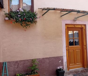 Chatenois Apartment | appartement spacieux dans joli village alsacien