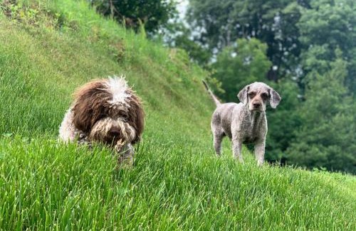 Bellagio Bed & Breakfast | Aqua&Co Bellagio - Eco conscious stay