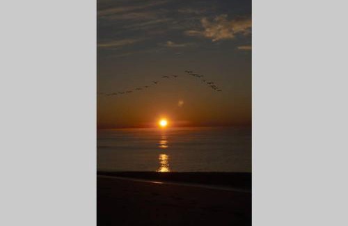 Holden Beach House | Aqua Haven - Second Street from Beach Home