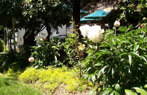 East Marion Bed & Breakfast | Arbor View House Bed and Breakfast