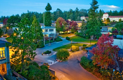Butte Cabin | Arcata-Cozy, Newer Cabin in the Redwoods with Hot tub