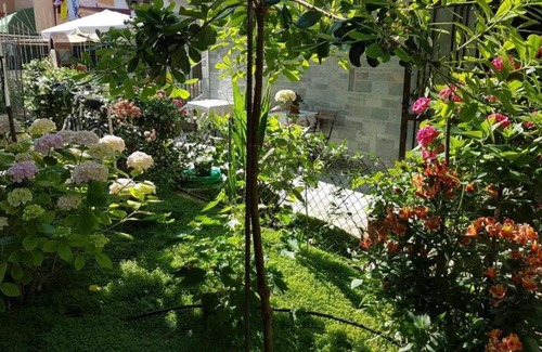 Olymbiaki Akti Apartment | Ares