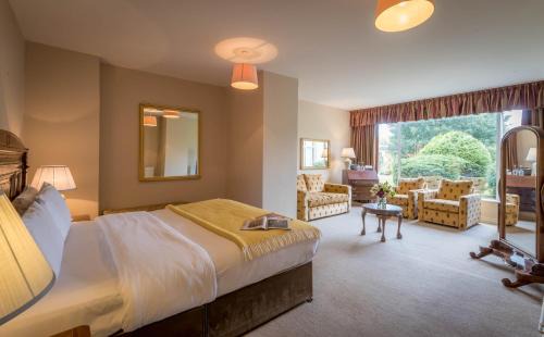 Ballsbridge House | Ariel House