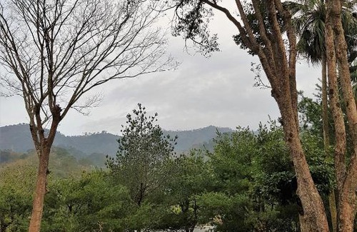 Shitan House | Aroundthetree Hermitage