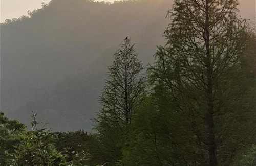 Shitan House | Aroundthetree Hermitage