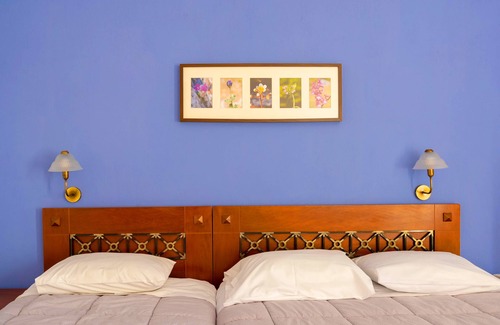 Delfoi Hotel | Artemis Hotel