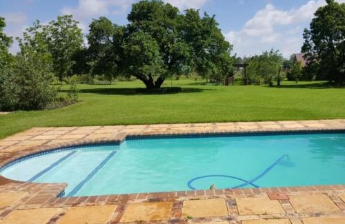 Delmas House | Arum Lily Eloff