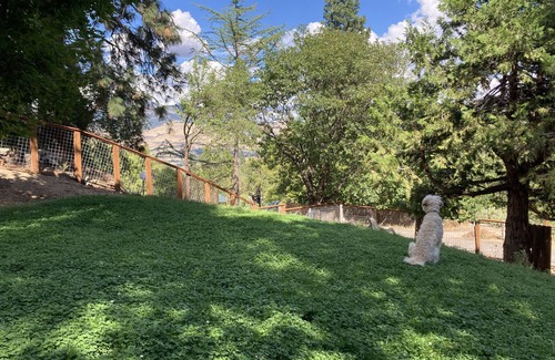 Ashland House | Ashland Mid-Century with a Yard!