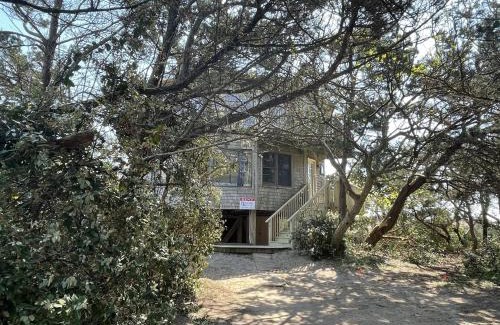 Avon House | Askins Creek House 42101