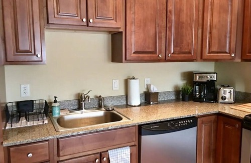 Basalt Apartment | Aspen-area 1BR Apt Near Everything & Pet-Friendly!