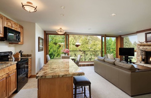 Downtown Apartment | Aspen Core Durant Condo