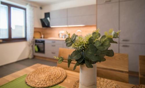 Frymburk Apartment | Astra Lipno