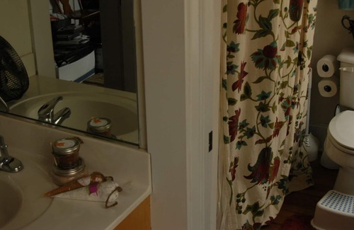 Louisville Apartment | Attic apartment in historic building