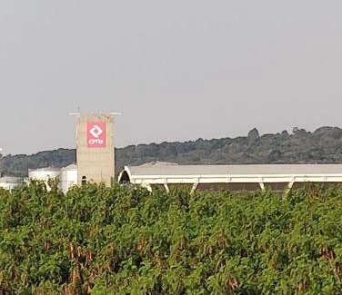 Vila Barros Hotel | Attriun Hotel