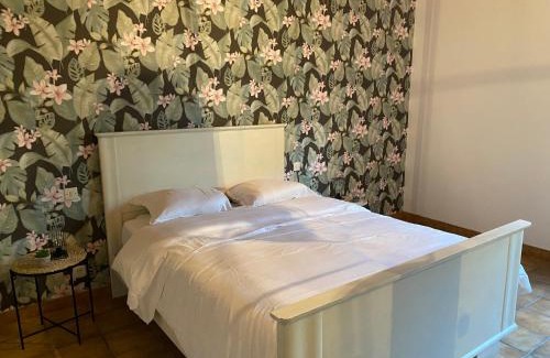 Carnoy House | Au cèdre bleu