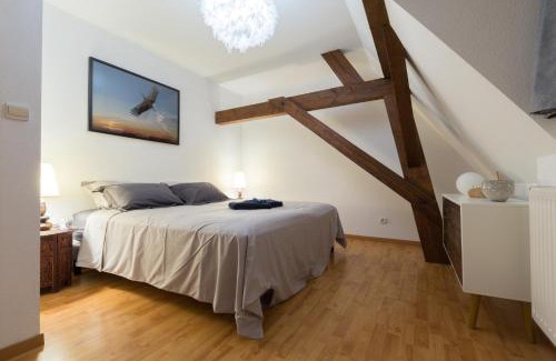 Sigolsheim Apartment | Au Cocon des Cigognes