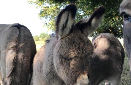 Allaire House | AU COEUR DE LA NATURE
