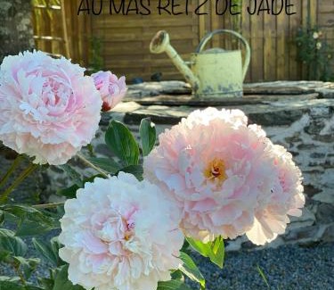 Chauve Bed & Breakfast | Au Mas Retz De Jade