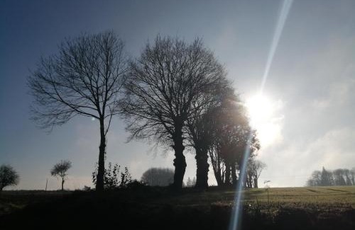 Meneac House | au monde mystérieux maison-canon-lan