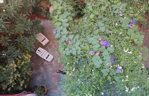 La Palme House | AUDE, seaside large family house