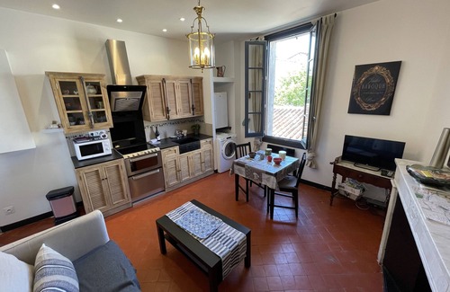 L'Isle-sur-la-Sorgue Apartment | Authentic Apartment Overlooking The River - air conditioned