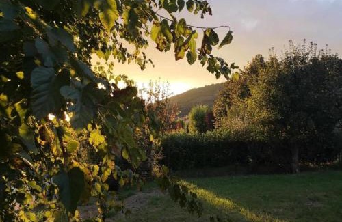 Pieve di Chio House | Authentic farmhouse in Castiglion Fiorentino with organic wines