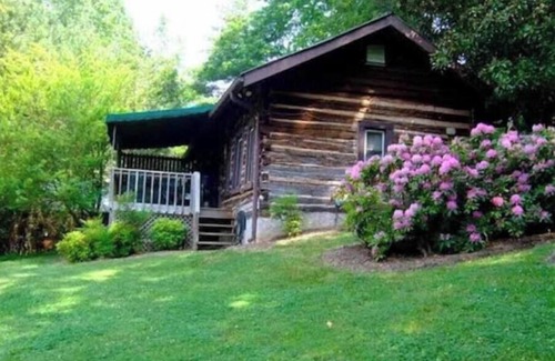 Skyland Cabin | Authentic log cabin near Biltmore House