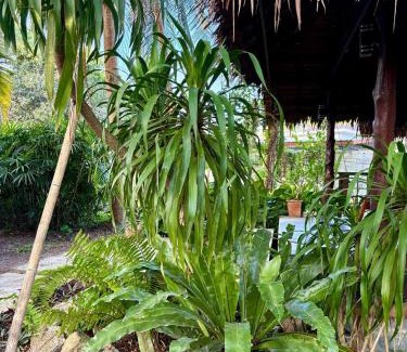 Hin Hong House | Authentic Thai Wooden House Coconut Lane