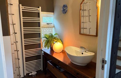 Loon Boat Rental | Authentieke Magische Woonark