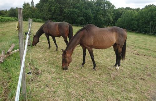 Noaillac House | Aux vieux fours 4 chambres 2 salle d'eau