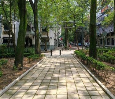 Hipodromo Apartment | Ave Ámsterdam 2br at Parque México!