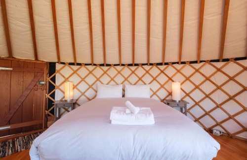 Palm Beach House | Awaawa Yurts - Tāne