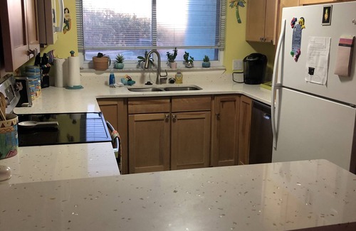 Crescent Beach House | Awesome direct ocean beach house!
