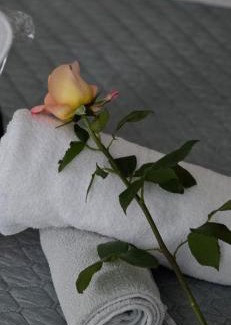 Iragna House | Ayurveda House