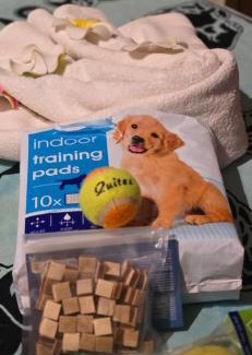 Iragna House | Ayurveda House