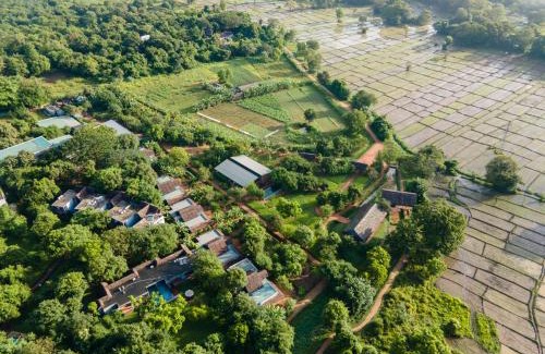Sigiriya Resort | Ayurvie Sigiriya - Ayurvedic Retreat by Thema Collection