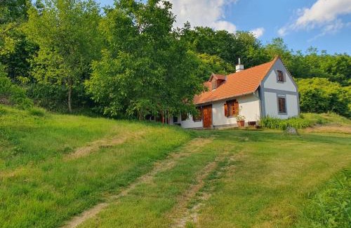 Kaptalantoti Apartment | Bácshegyi Vendégház 1