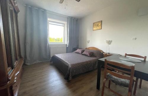 Hostavice Apartment | Báječné ubytování ve vile s bazénem a terasou v praze