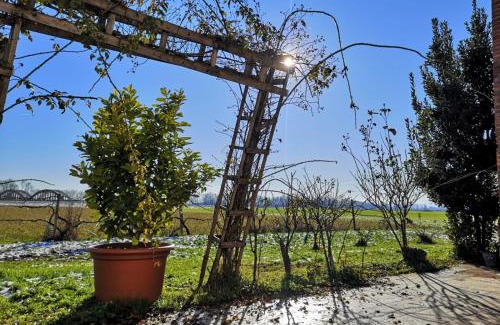 Roccabianca Bed & Breakfast | B&B DE CAROL