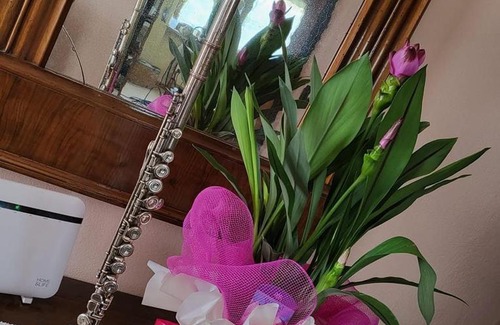 Caltrano Bed & Breakfast | B&B Flauto Magico