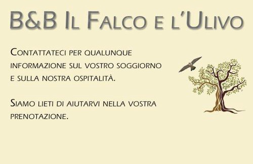 Rocca Massima Bed & Breakfast | B&B Il Falco e l'Ulivo