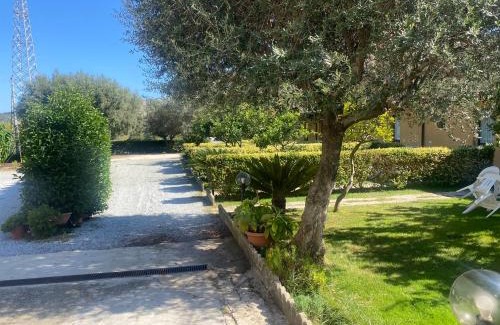 Gasponi Bed & Breakfast | B&B La Torretta