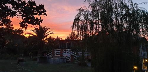 Viterbo Bed & Breakfast | B&B Le Cinque Querce