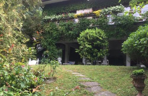 Lierna Bed & Breakfast | B&B Le Ortensie -Lago di Como